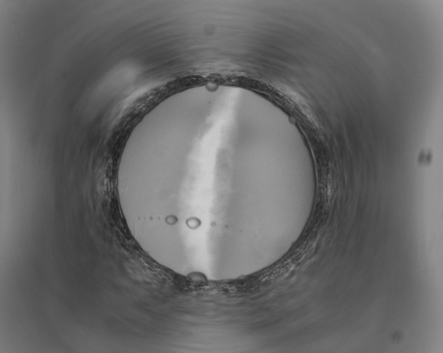 X0000095121063200712301755