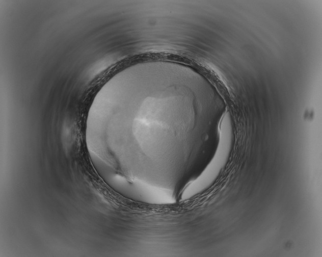 X0000095121064200712301755