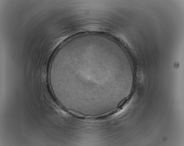 X0000095121065200712301755