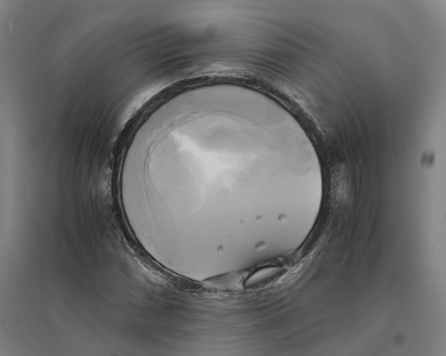 X0000095121066200712301755