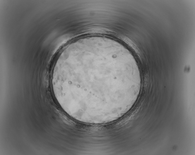 X0000095121067200712301755