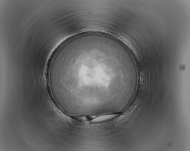 X0000095121068200712301755