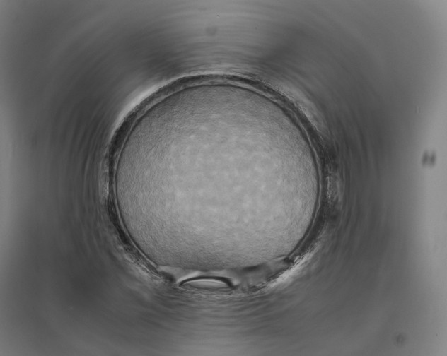 X0000095121069200712301755