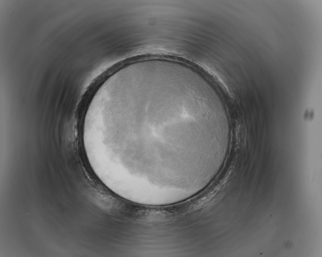 X0000095121070200712301755