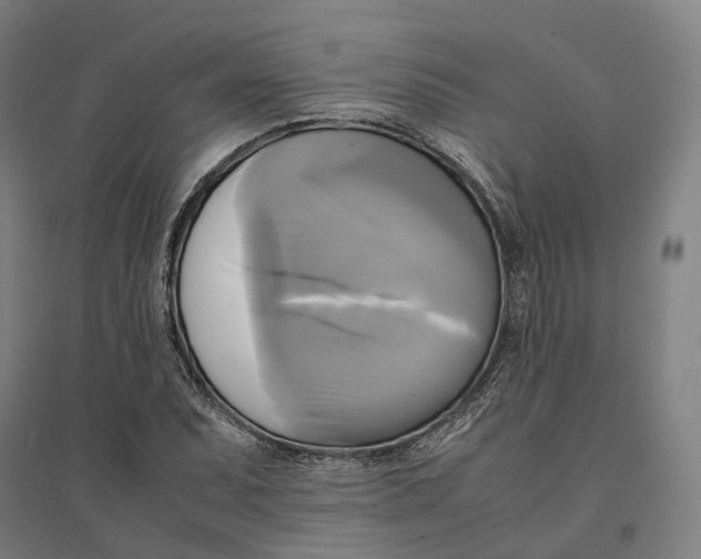 X0000095121071200712301755