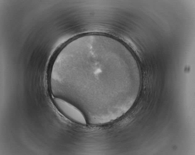 X0000095121072200712301755