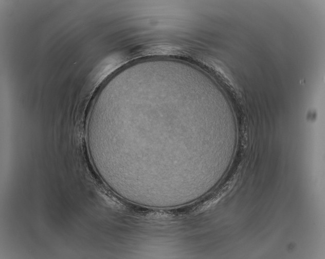 X0000095121073200712301755