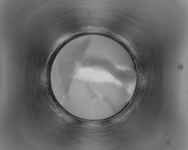 X0000095121074200712301755