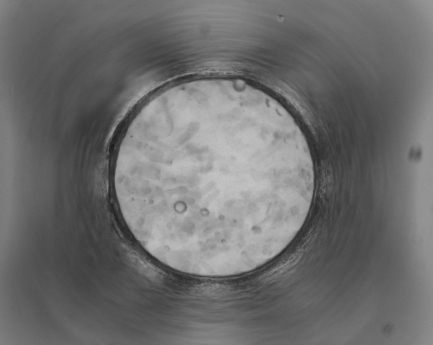 X0000095121075200712301755