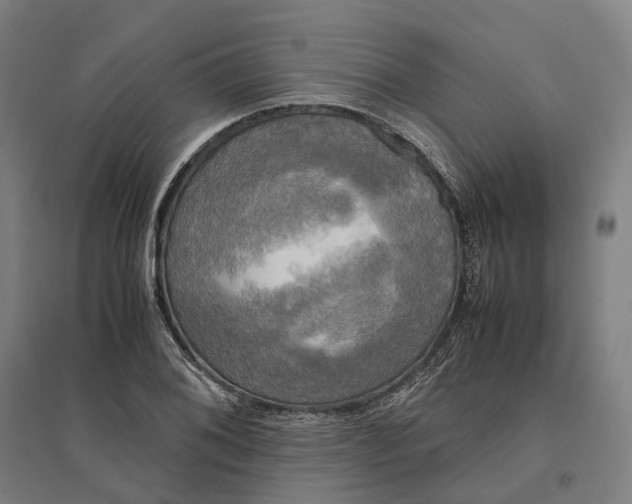 X0000095121076200712301755