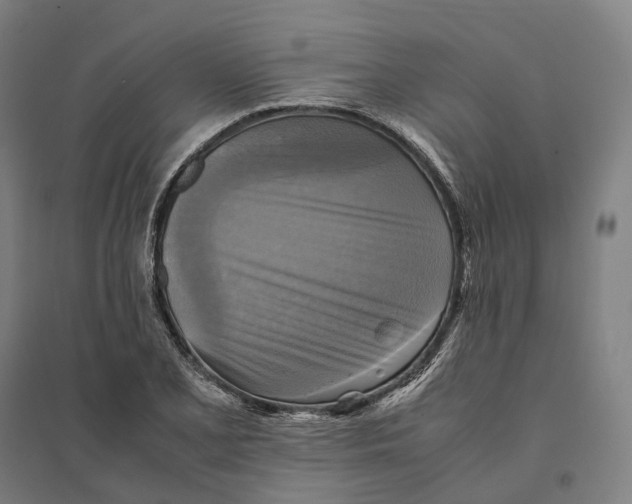 X0000095121077200712301755