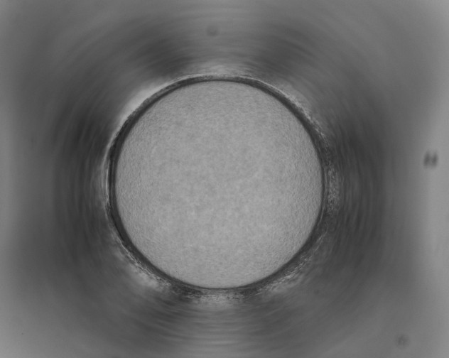 X0000095121078200712301755