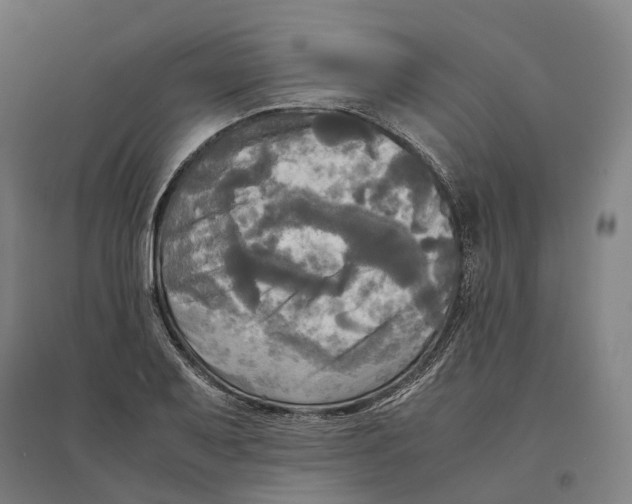 X0000095121079200712301755