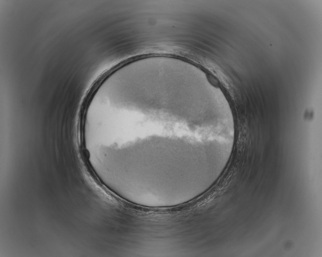 X0000095121080200712301755