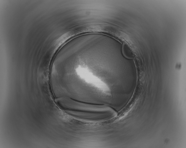 X0000095121081200712301755