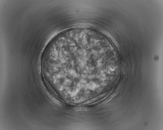 X0000095121083200712301755