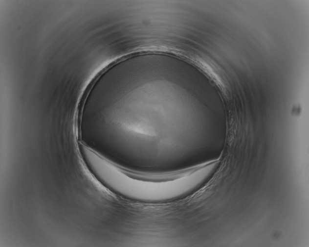 X0000095121084200712301755