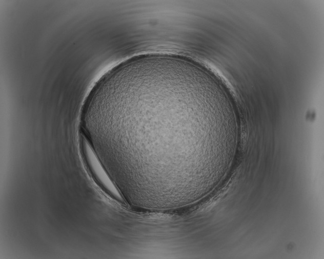 X0000095121085200712301755