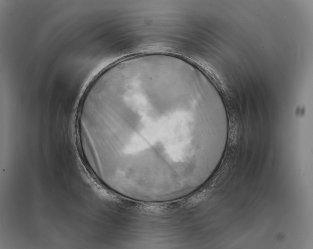 X0000095121086200712301755