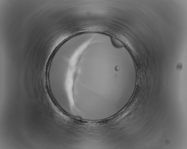 X0000095121087200712301755