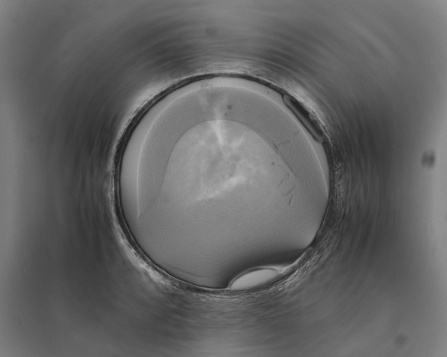 X0000095121088200712301755