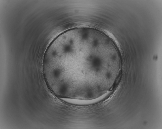 X0000095121089200712301755