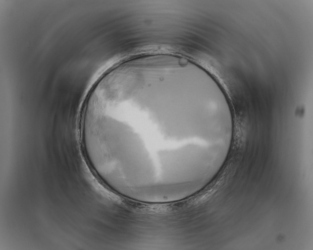 X0000095121090200712301755