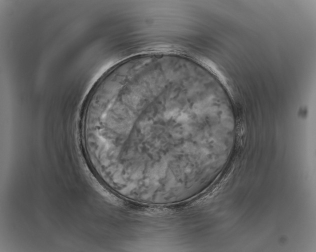 X0000095121091200712301754