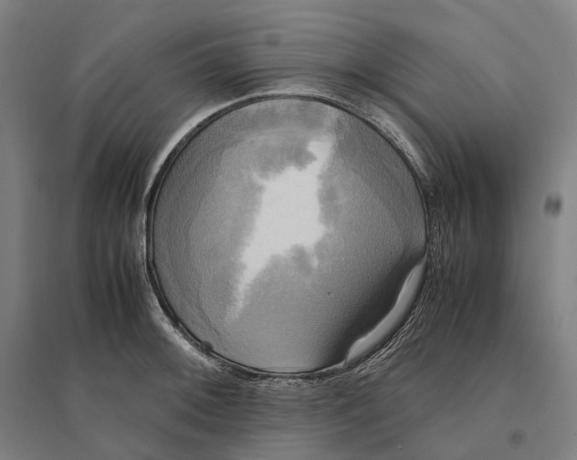 X0000095121092200712301754