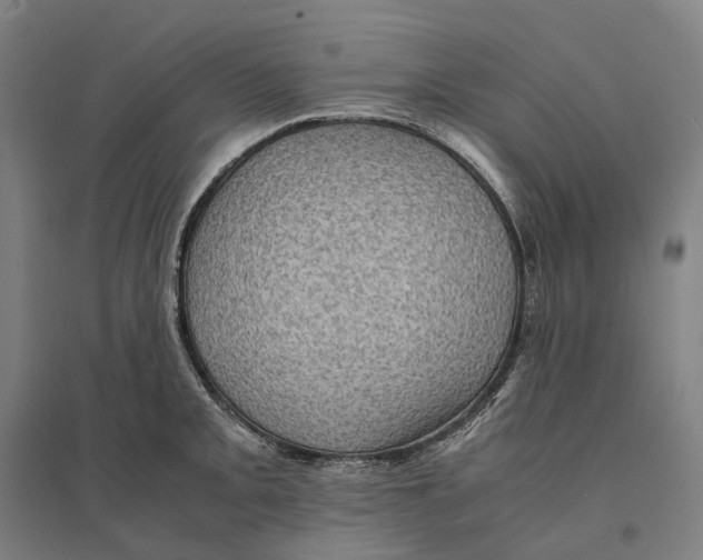 X0000095121093200712301754