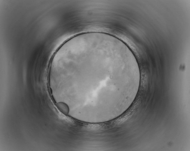 X0000095121094200712301754