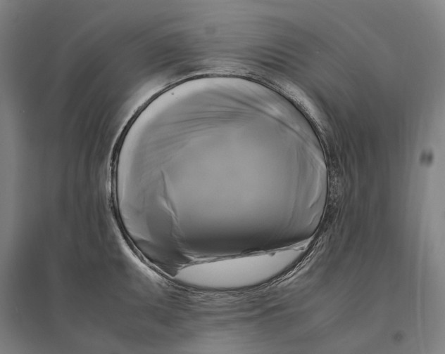 X0000095121095200712301754