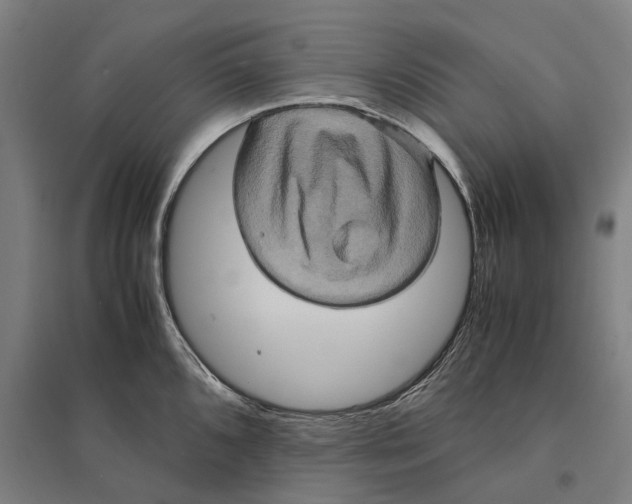 X0000095121096200712301754