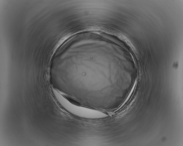 X0000095121097200712301754