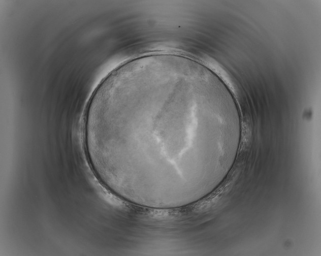 X0000095121098200712301754