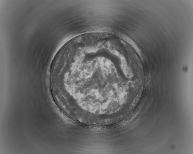 X0000095121099200712301754