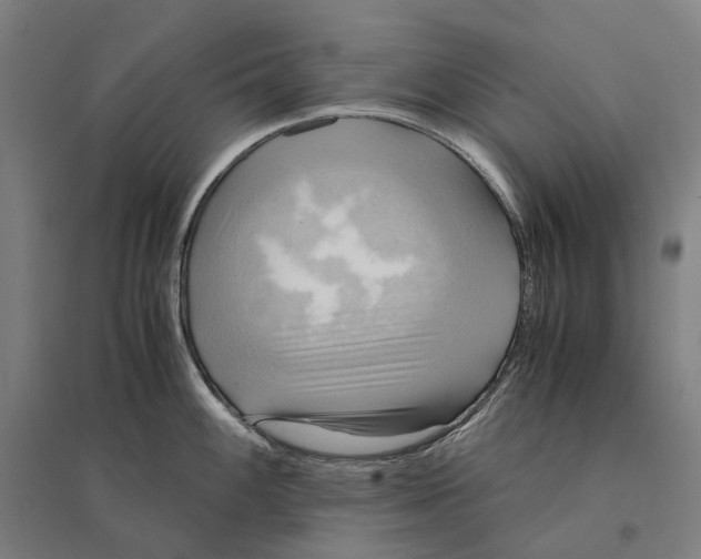 X0000095121100200712301754