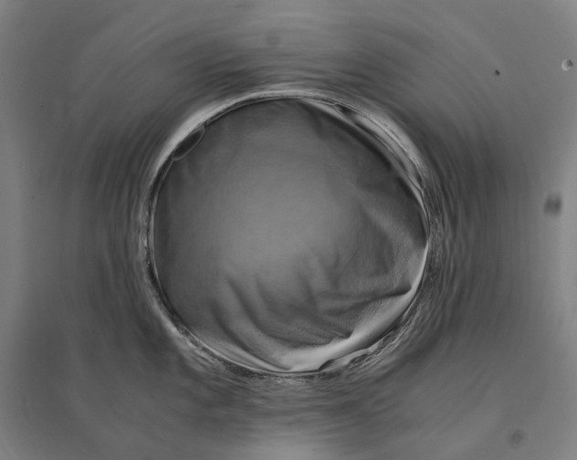 X0000095121101200712301754