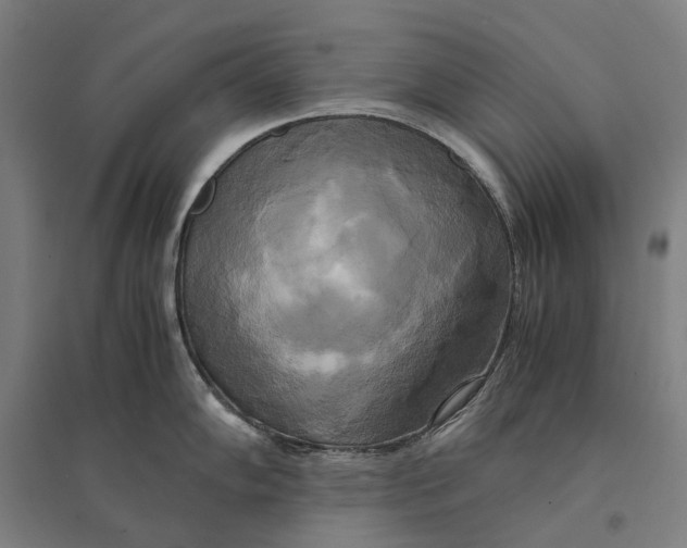 X0000095121102200712301754