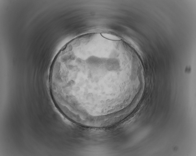 X0000095121103200712301754