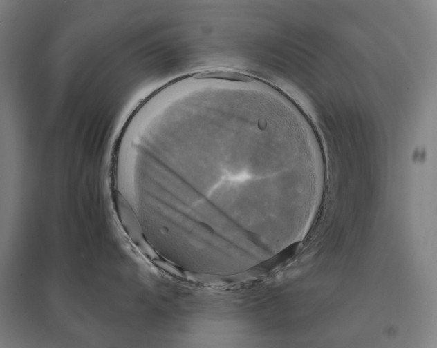 X0000095121104200712301754