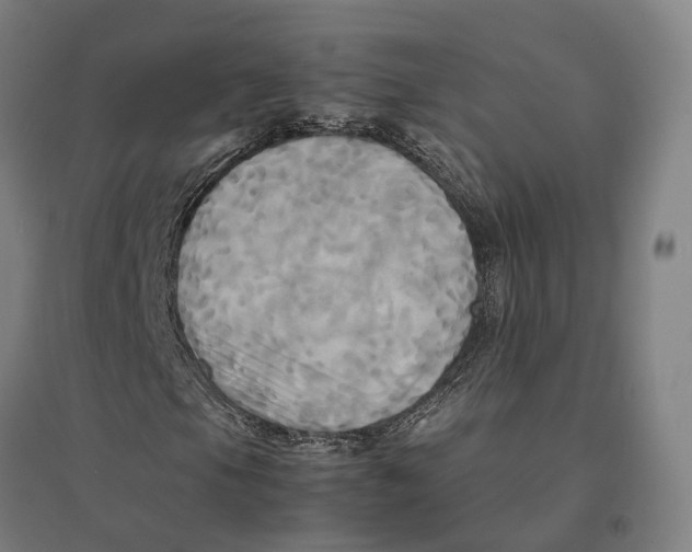 X0000095121105200712301754