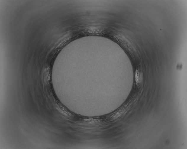 X0000095121107200712301754