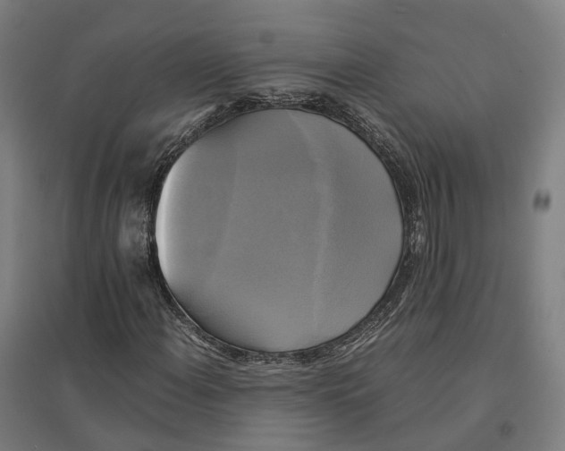 X0000095121108200712301754