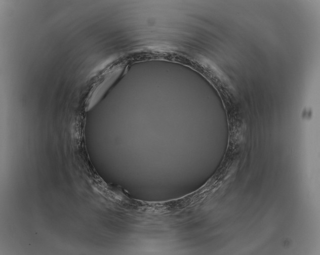 X0000095121110200712301754