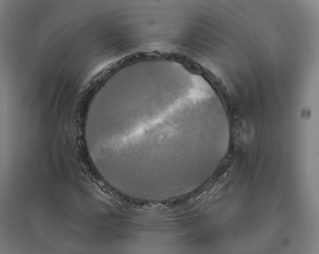 X0000095121112200712301754