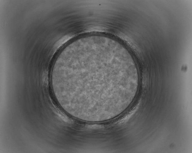 X0000095121113200712301754