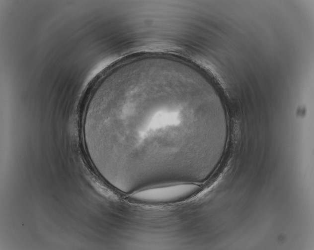 X0000095121114200712301754