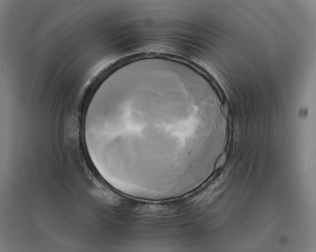 X0000095121115200712301754