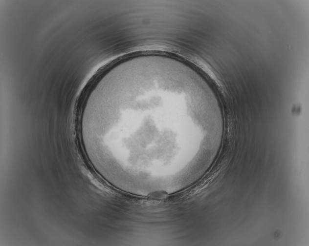 X0000095121116200712301754